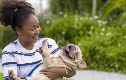 11869675-afrikansk-amerikan-kvinna-ar-spelar-med-henne-franska-bulldogg-valp-medan-gaende-i-de-hund-parkera-pa-gras-grasmatta-after-har-morgon-ovning-under-de-sommar-foota-gratis 11869675-afrikansk-amerikan-kvinna-ar-spelar-med-henne-franska-bulldogg-valp-medan-gaende-i-de-hund-parkera-pa-gras-grasmatta-after-har-morgon-ovning-under-de-sommar-foota-gratis