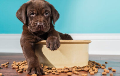 UPS66CWOGRDYPNHN27TA5ESREM UPS66CWOGRDYPNHN27TA5ESREM